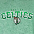 Фото #3 товара NBA Boston Celtics Women's Ombre Arch Print Burnout Crew Neck Fleece Sweatshirt