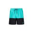 Фото #1 товара Спортивные шорты Nike Volley Washed