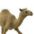 SAFARI LTD Dromedary Camel Figure