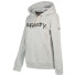 Фото #3 товара SUPERDRY CL hoodie