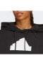 IB8501 W FI BOS Kadın Siyah Spor Sweatshirt