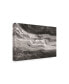 Фото #2 товара Albena Hristova Currents Gray Black White Canvas Art - 19.5" x 26"