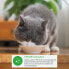 Snack for Cats Inaba Dashi Delights Chicken 70 g