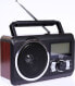 Фото #1 товара Radio Dartel RD-20