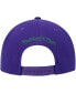 Фото #4 товара Men's Purple Milwaukee Bucks Paint By Numbers Snapback Hat