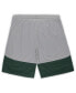 Men's Green Green Bay Packers Big and Tall Team Logo Shorts