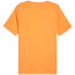 Фото #3 товара Puma Essential M T-shirt 847382 58