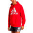 ADIDAS Bl Ft hoodie