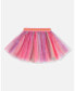 ფოტო #1 პროდუქტის Girl Tulle Skirt Rainbow Stripe - Child