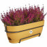 Ящик для цветов Elho Planter 50 cm Plastic