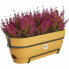 Фото #6 товара Ящик для цветов Elho Planter 50 cm Plastic