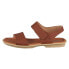 El Naturalista N5930toffee