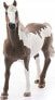 Фото #2 товара Figurka Schleich SLH Paint Gelding koń 13885 64051