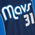 Mens Mitchell & Ness NBA SWINGMAN JERSEY - DALLAS MAVERICKS JASON TERRY 2011