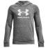 Фото #2 товара UNDER ARMOUR Rival Fleece BL hoodie