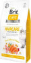 VAFO PRAHS Brit Care Kot Haircare 400g Healthy & Shiny Coat Gf