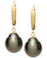 Tahitian Pearl (10mm) Leverback Earrings in 14k Gold