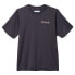 Фото #1 товара COLUMBIA Fork Stream™ short sleeve T-shirt