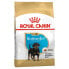 ROYAL 12kg dog food for puppy rottweiler