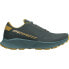 DYNAFIT Ultra 100 Goretex trail running shoes