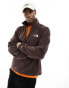 Фото #1 товара The North Face Polartec 100 1/4 zip fleece in brown