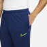 Фото #3 товара Nike Academy 21 M CW6122-492 Pants