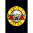 Фото #1 товара GB EYE Guns N Roses Poster