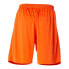 JOMA Nobel Shorts