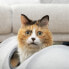 Фото #31 товара Игрушка для кошек InnovaGoods складной туннель Funnyl