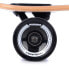 Фото #14 товара TEMPISH Bohemia II Longboard 37.8´´