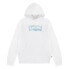 LEVI´S ® KIDS Palm Batwing Fill hoodie