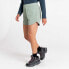 Фото #6 товара DARE2B Rapport Shorts