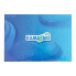 Фото #1 товара Наклейки декоративные KAMASAKI Логотип A6 синие