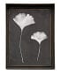 Фото #1 товара Ginkgo Leaf Shadow Box