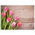 Фото #1 товара Tischset Rote Tulpen (12er-Set)