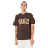 ფოტო #1 პროდუქტის DICKIES Aitkin T-shirt