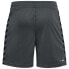 Фото #2 товара HUMMEL Authentic PL Shorts