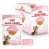 ROYAL CANIN Sterilised 85g Wet Kitten Food 12 Units - фото #3