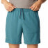 Фото #4 товара COLUMBIA Hike™ Shorts