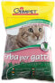 Фото #1 товара Лакомство для кошек Gimpet GIMPET TRAWA DLA KOTA 100 гр