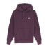 DICKIES Summerdale hoodie