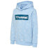 Фото #3 товара HUMMEL Flow hoodie