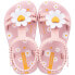 IPANEMA Daisy Slides