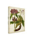 Фото #2 товара Unknown Horticultural Specimen IV Canvas Art - 36.5" x 48"