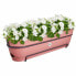 Фото #4 товара Ящик для цветов Elho Planter 70 cm Pink Plastic