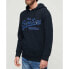 Фото #3 товара SUPERDRY Embroidered Vl hoodie