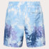 Фото #4 товара OAKLEY APPAREL Canary Palms RC 18´´ Swimming Shorts