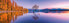Clementoni Puzzle 1000el panorama Widok na jezioro Wanaka Tree 39608