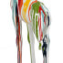 Decorative Figure Giraffe 50 x 17 x 92,5 cm