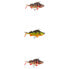 Фото #2 товара FOX RAGE Replicant Perch Soft Lure 95g 180 mm